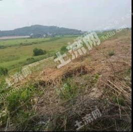 100亩荒山使用权转让