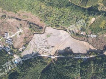 韶关新丰县50亩耕地-水田经营权出租