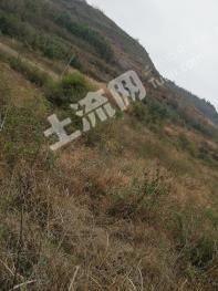 安顺平坝区202.16亩旱地经营权出租