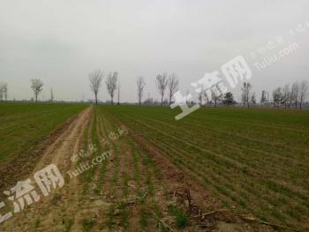 吉林公主岭9.6亩耕地-其它耕地经营权转让