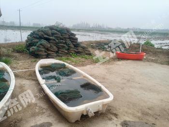 益阳南县202.09亩水田经营权转让