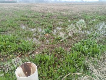 益阳南县72.43亩水田经营权转让，稻虾田