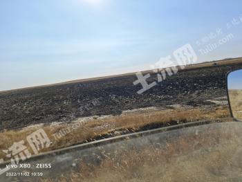 兴安盟扎赉特旗1300亩旱地经营权出租