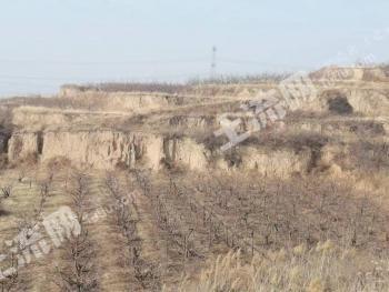 晋中祁县32亩果园使用权出租