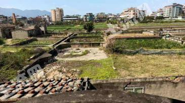 福州长乐区15亩耕地-旱地经营权合作