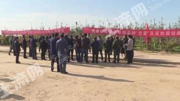 延安子长县550亩果园转让