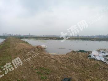 益阳南县145.14亩水田经营权转让