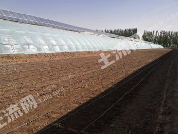 石嘴山平罗县 1100亩 其它耕地（设施大棚）经营权 出租