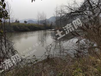 安庆望江县 150亩 水库水面 经营权出租