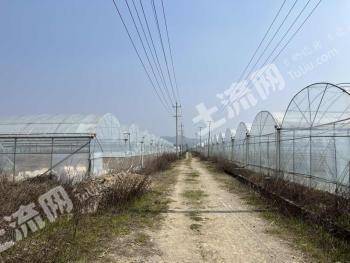 赣州于都县135亩水田经营权出租