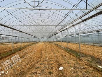 赣州于都县97亩连体大棚经营权出租