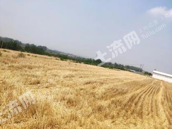 三门峡渑池县 33.75亩 设施农用地 经营权转包