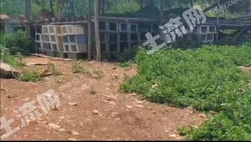 葫芦岛南票区 60亩 果园 经营权出租