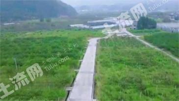 杭州建德市 72亩 果园 经营权转让