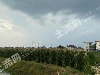 南通通州区 50亩 水浇地 经营权出租