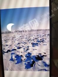 齐齐哈尔依安县 2000亩 旱地 经营权转让