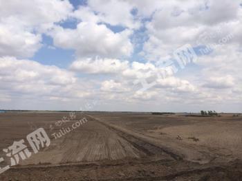 松原乾安县 1500亩 水田 出租