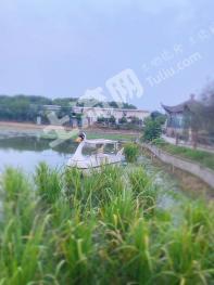 常州武进区 40亩 水田 经营权出租