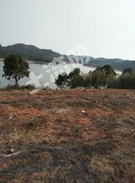 郴州嘉禾县 150亩 其它林地 经营权转让