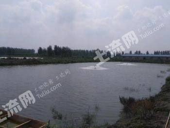 唐山丰南区 29.81亩 综合养殖用地 出租