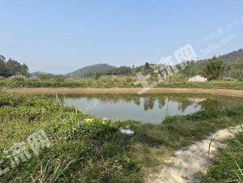 佛山高明区11.48亩养殖用地-水产养殖用地经营权转让