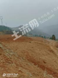 洛阳洛宁县 450亩 旱地 经营权出租