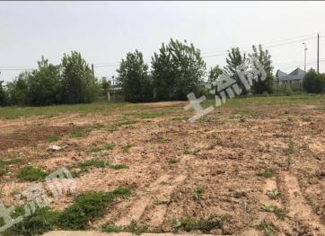 直辖行政单位天门市 10038平米 商业用地 招拍挂