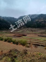 十堰竹溪县1100亩水田经营权出租