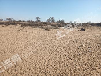 鄂尔多斯准格尔旗 90亩 旱地 经营权转让