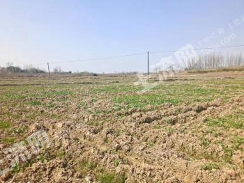 安徽六安叶集区 102亩 设施农用地 合作