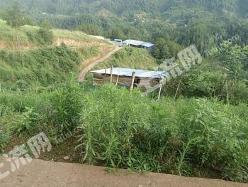 重庆万州区35亩农场转让