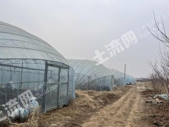 鞍山千山区100亩耕地-旱地转让