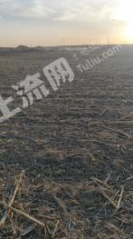 鄂尔多斯鄂托克前旗60亩水浇地经营权出租