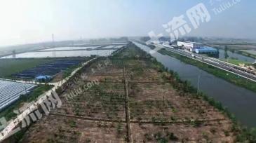 泰州兴化市 47.36亩 灌木林地 经营权出租