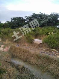 永州新田县10亩菜园经营权转包