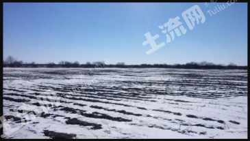 鸡西虎林市 100亩 旱地 经营权出租