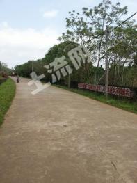 海南文昌市 3000平方米 综合商业资产 使用权出租