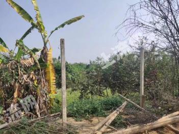 南宁西乡塘区 6亩 其它园地 经营权出租