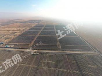 齐齐哈尔梅里斯达斡尔族区 1388.91亩 水田 经营权转让