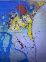 钦州钦北区 333000平米 综合用地 使用权转让