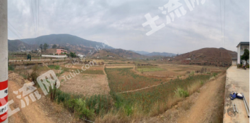 云南大理弥渡县314亩 水田 经营权 出租