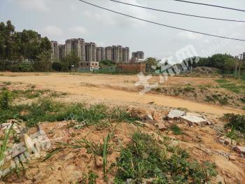 湛江霞山区7000平方米厂房使用权出租