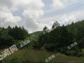 抚顺抚顺县 700亩 乔木林地 经营权转让