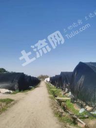 长沙浏阳市 67亩 水浇地 经营权出租