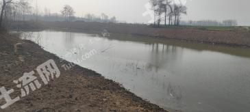 周口鹿邑 24.78亩 农场 使用权出租