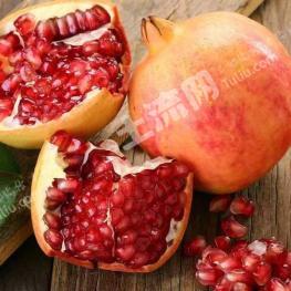 洛阳涧西区 150亩 果园 经营权转让