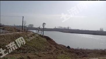 濮阳台前县 135亩 坑塘 经营权出租
