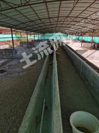 河池罗城仫佬族自治县40亩畜牧养殖用地（养牛）经营权出租