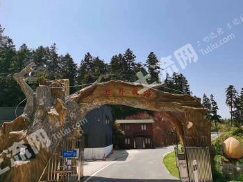 南昌湾里区235.08亩综合性果园经营权转让或合作