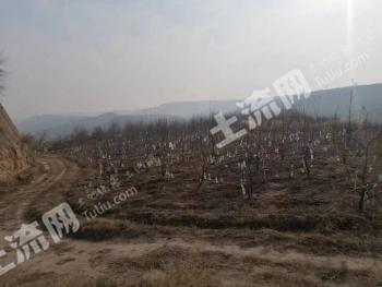 延安洛川县 15亩 水浇地 转让